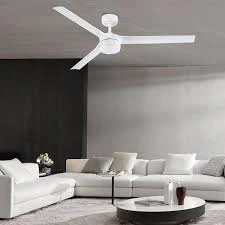 Fans